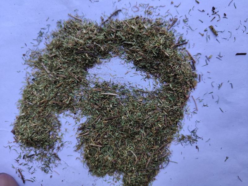 伸筋草沫子成品两种规格供应统批发零售各种草药规格齐全