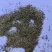 伸筋草沫子成品两种规格供应统批发零售各种草药规格齐全