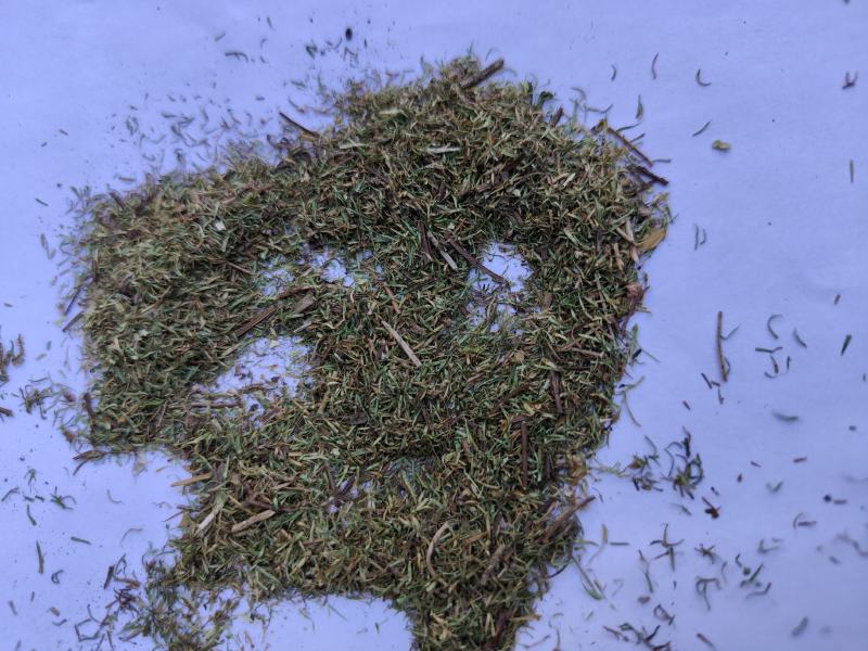 伸筋草沫子成品两种规格供应统批发零售各种草药规格齐全