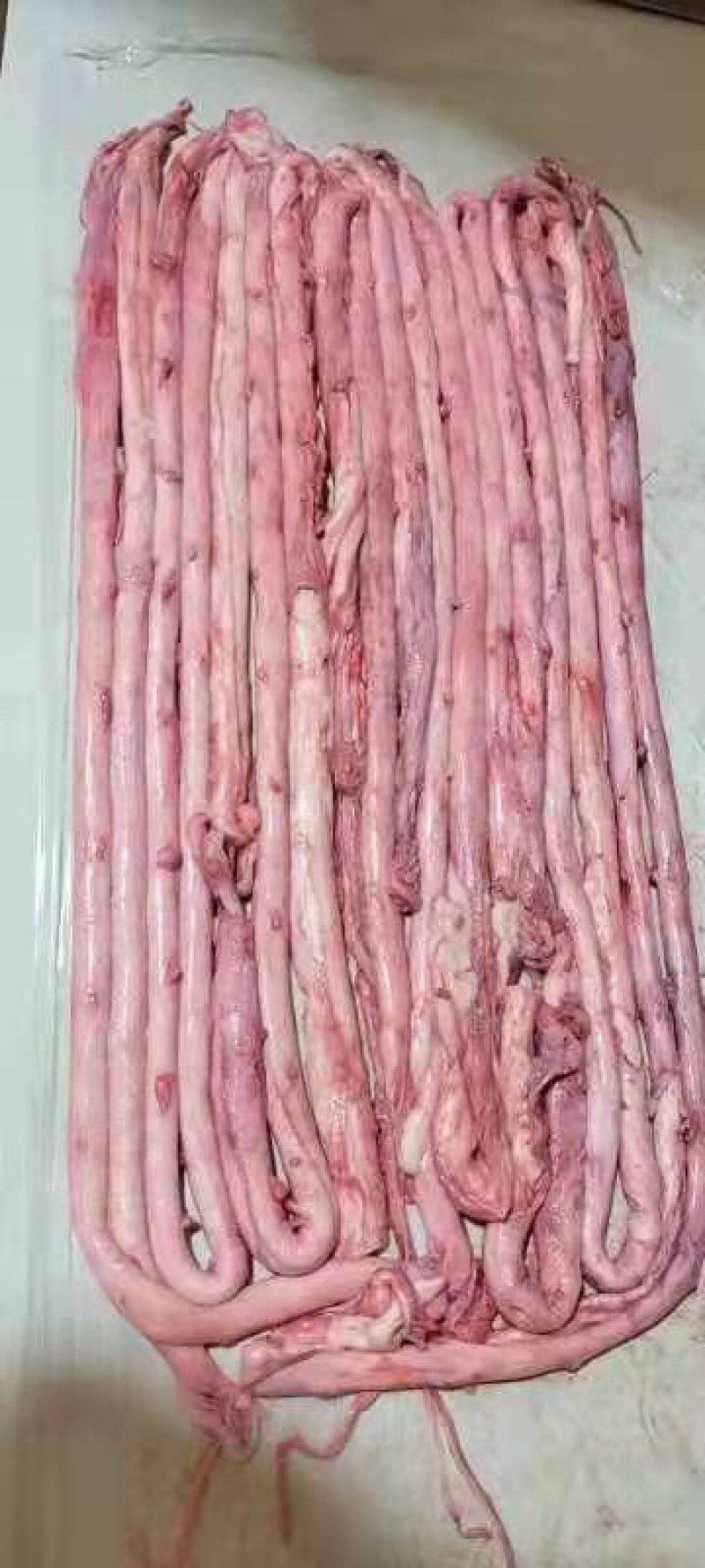 骨髓，新鲜猪骨髓，猪脊髓