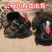脱温贝蒂纳火鸡苗半斤到一斤左右