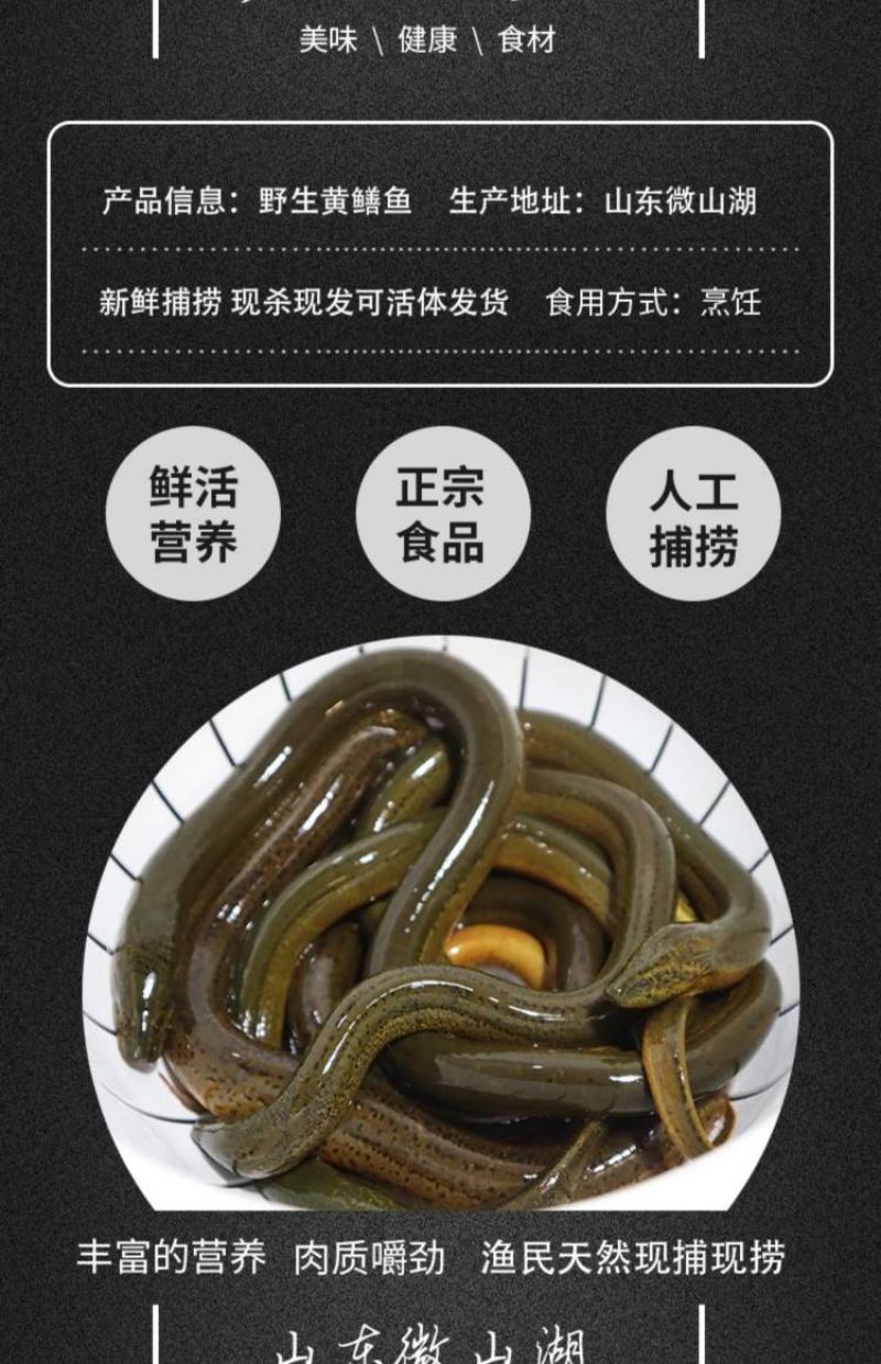 江苏盛源水产品批发零售主营小龙虾大闸蟹鳝鱼泥鳅甲鱼等产品