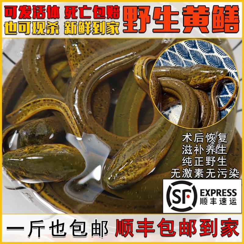 江苏盛源水产品批发零售主营小龙虾大闸蟹鳝鱼泥鳅甲鱼等产品