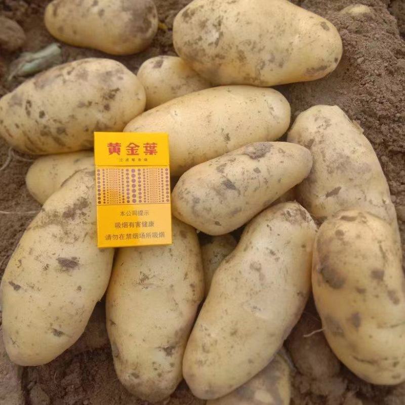 土豆电商市场超市档口基地供应货源充足
