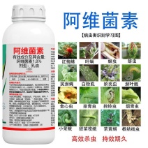 阿维菌素杀虫剂农药花卉水稻蔬菜果树蚜虫红蜘蛛菜青虫