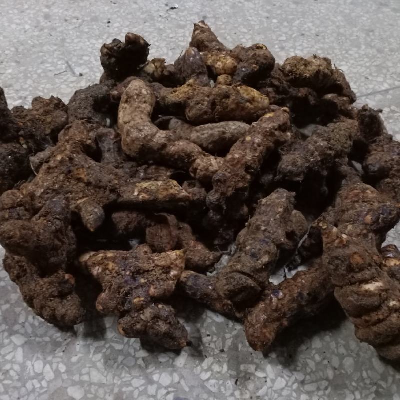 土茯苓现货秒发正品保证大量订购更优惠