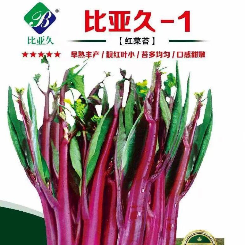 比亚久-1红菜苔种子，35天采收，亮紫红色，甜脆可口