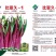比亚久-1红菜苔种子，35天采收，亮紫红色，甜脆可口