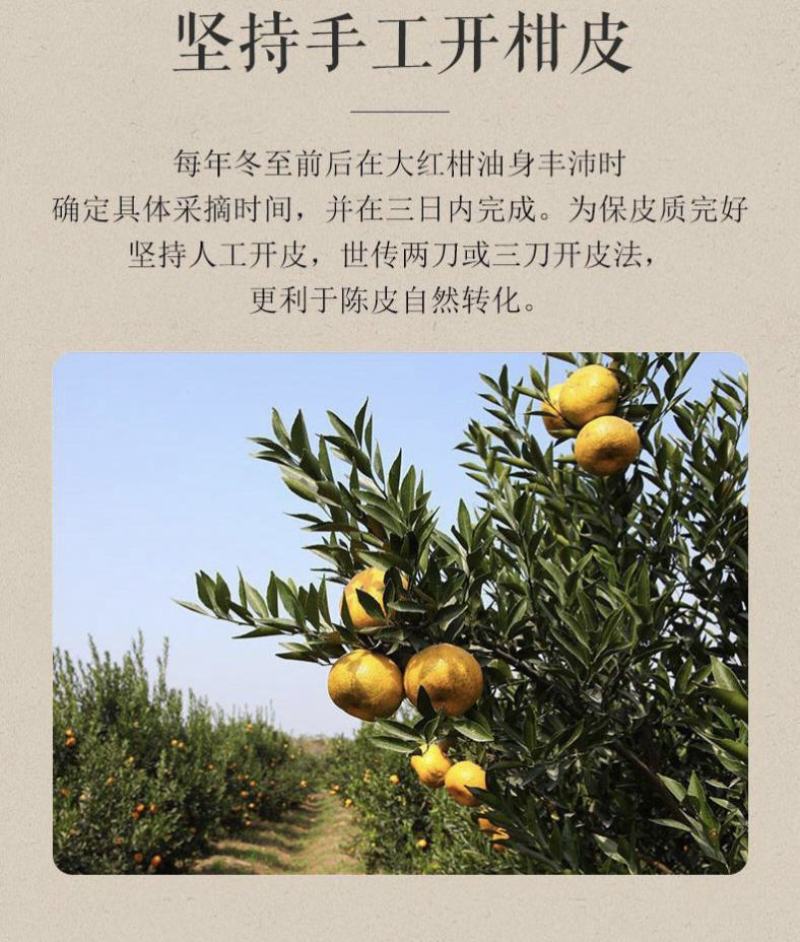 正宗广东新会陈皮十年老陈皮大红橘子皮陈皮干袋装包邮陈皮