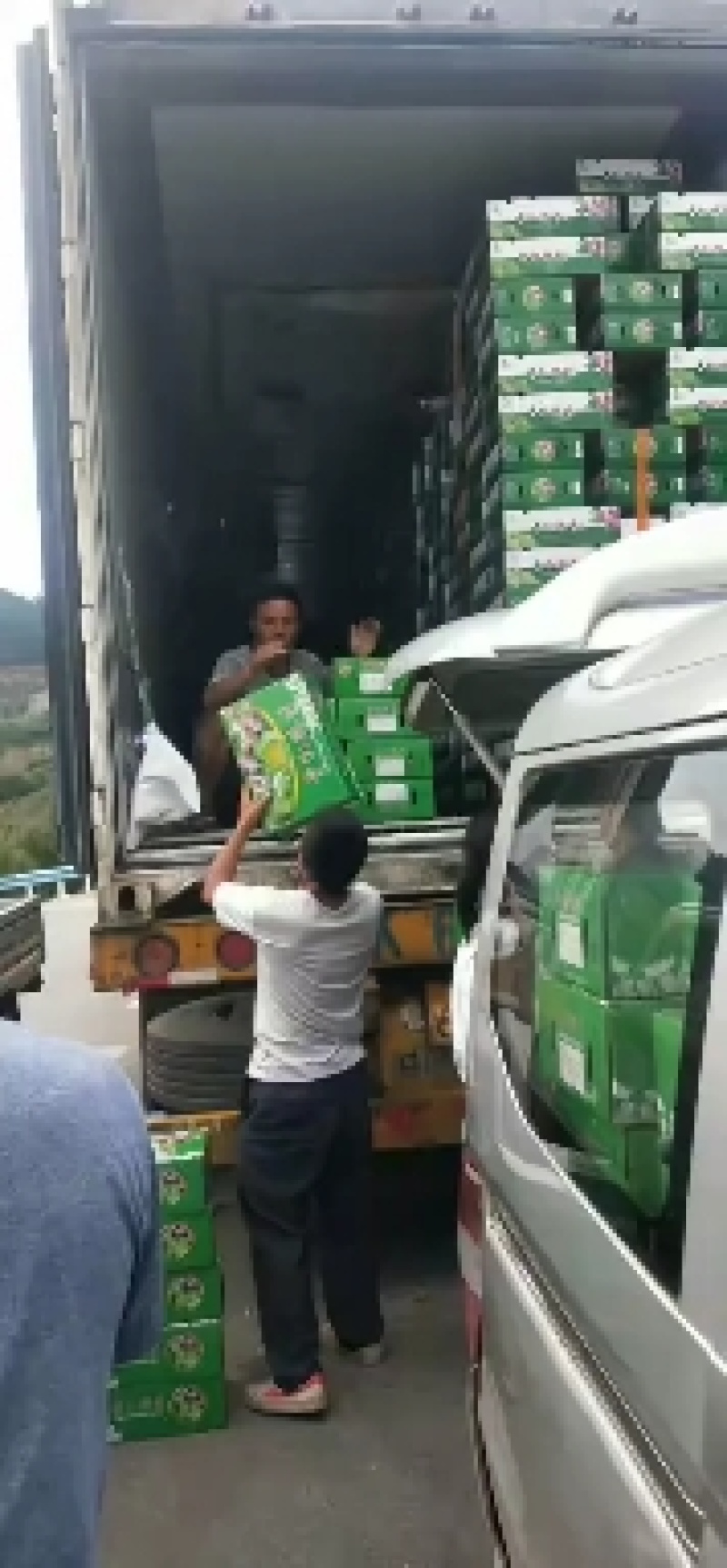 六马清脆李