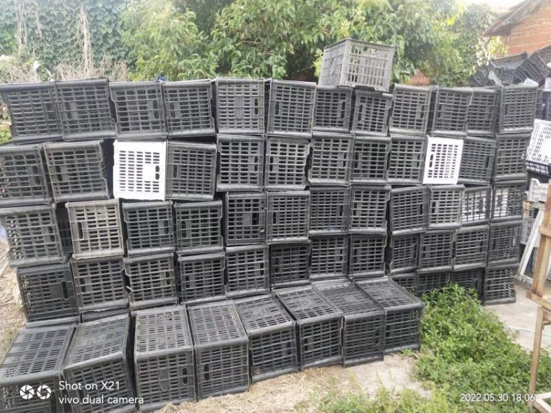 黑色胶框2元一个可装蔬菜水果，
