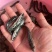 江苏精品小黑花黑鱼苗，包质量死伤包陪，好养活欢迎老板选购