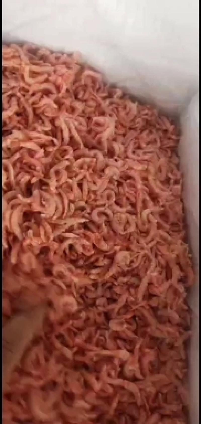 南极鳞虾皮色泽鲜红口感不错畅销好货不错过
