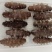 即食海参批发鲜海参刺身辽参可贴牌代加工