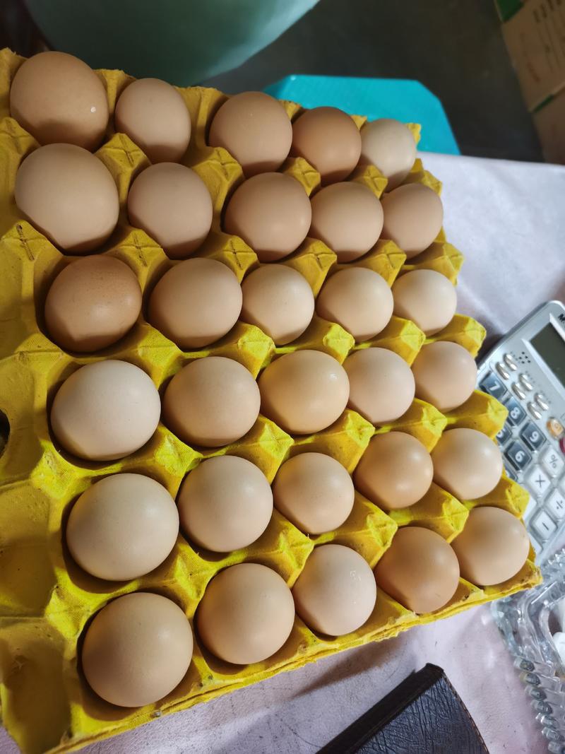 (推荐)贵州农里鸿土鸡蛋，营养有机无污染360枚装