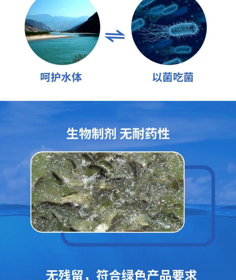 弧菌浓缩冻干粉噬菌蛭弧菌净水调水鱼虾蟹塘除有害菌水产养殖