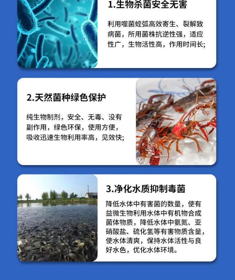 弧菌浓缩冻干粉噬菌蛭弧菌净水调水鱼虾蟹塘除有害菌水产养殖