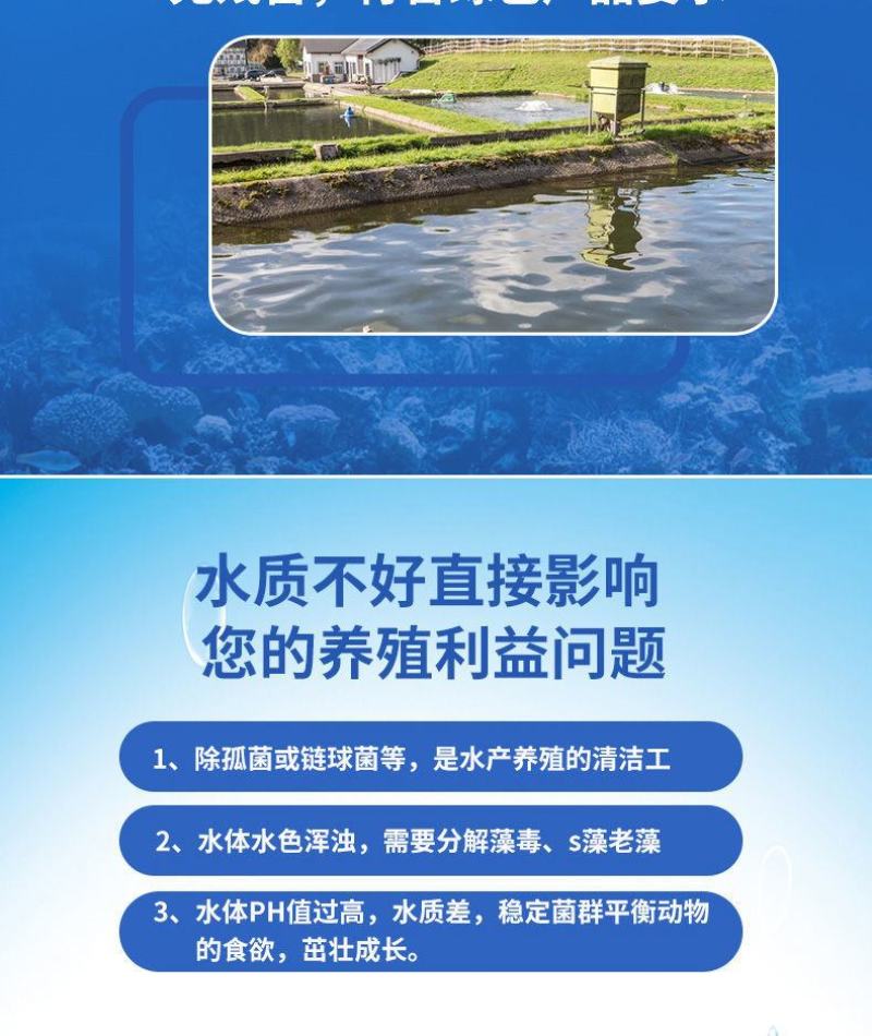 弧菌浓缩冻干粉噬菌蛭弧菌净水调水鱼虾蟹塘除有害菌水产养殖