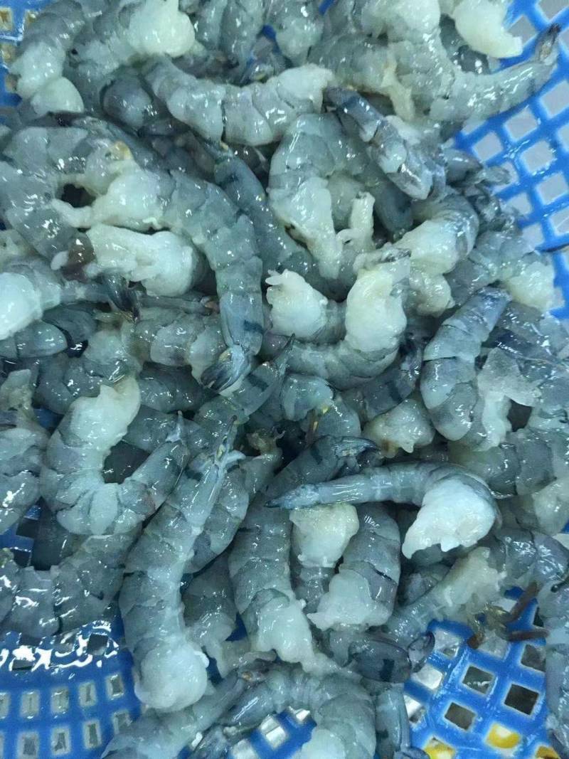 5160冷冻大号草虾仁20斤一箱酒店茶楼沙拉寿司店新