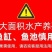 鱼塘消毒杀菌剂复合碘溶液水产养殖用药小龙虾塘蟹塘聚维酮碘
