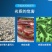 鱼塘消毒杀菌剂复合碘溶液水产养殖用药小龙虾塘蟹塘聚维酮碘