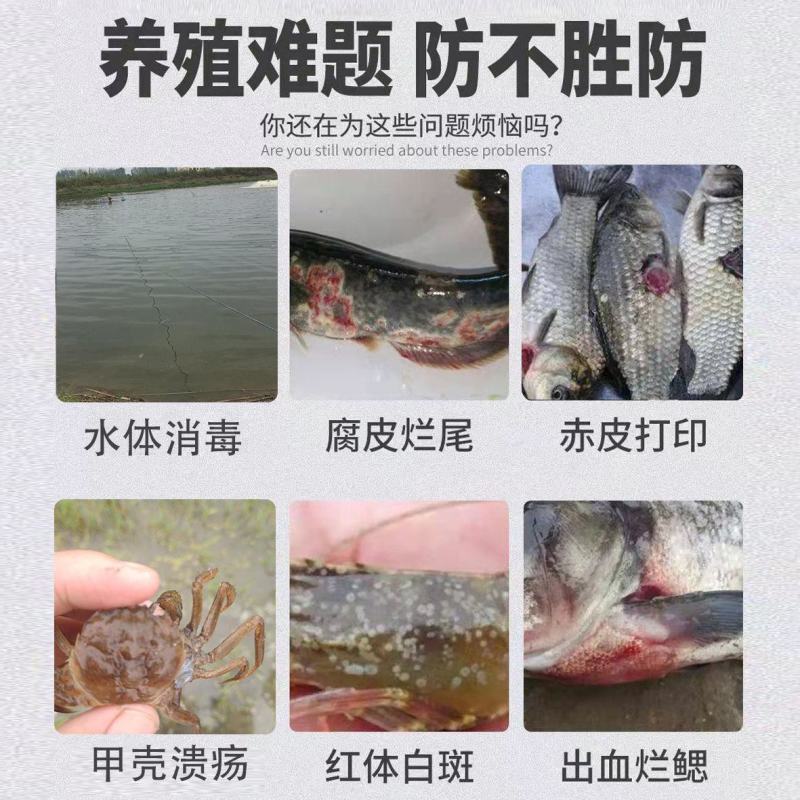 鱼塘消毒杀菌剂复合碘溶液水产养殖用药小龙虾塘蟹塘聚维酮碘