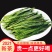 2022年新茶安徽特产黄山名茶太平喉魁袋装250g