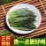 2022年新茶安徽特产黄山名茶太平喉魁袋装250g