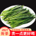 2022年新茶安徽特产黄山名茶太平喉魁袋装250g