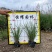 【粉黛乱子草毛芒乱子草】各种规格欢迎合作详谈
