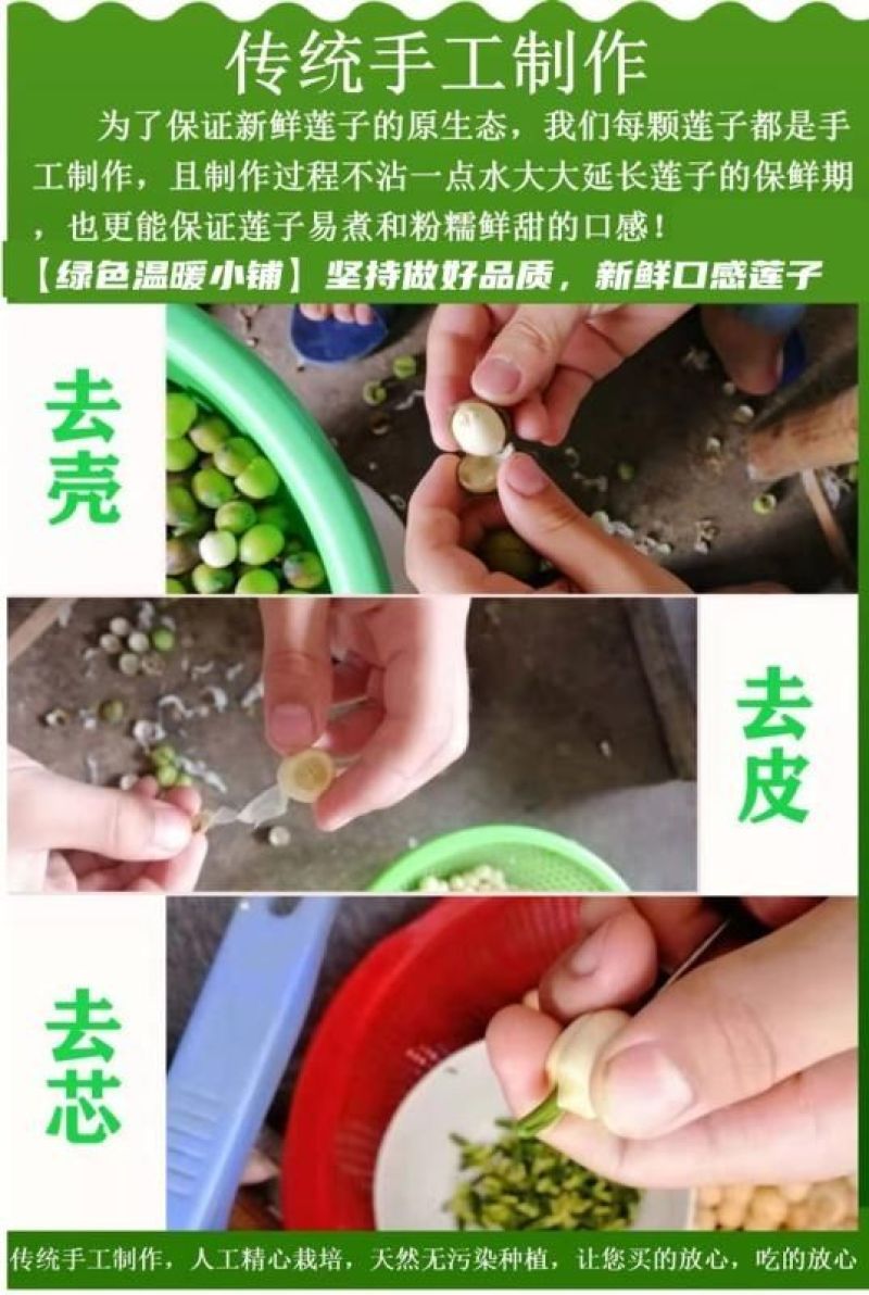 江西特产新鲜莲子通芯鲜莲煲汤煮粥糖水手工鲜莲白莲一件代发