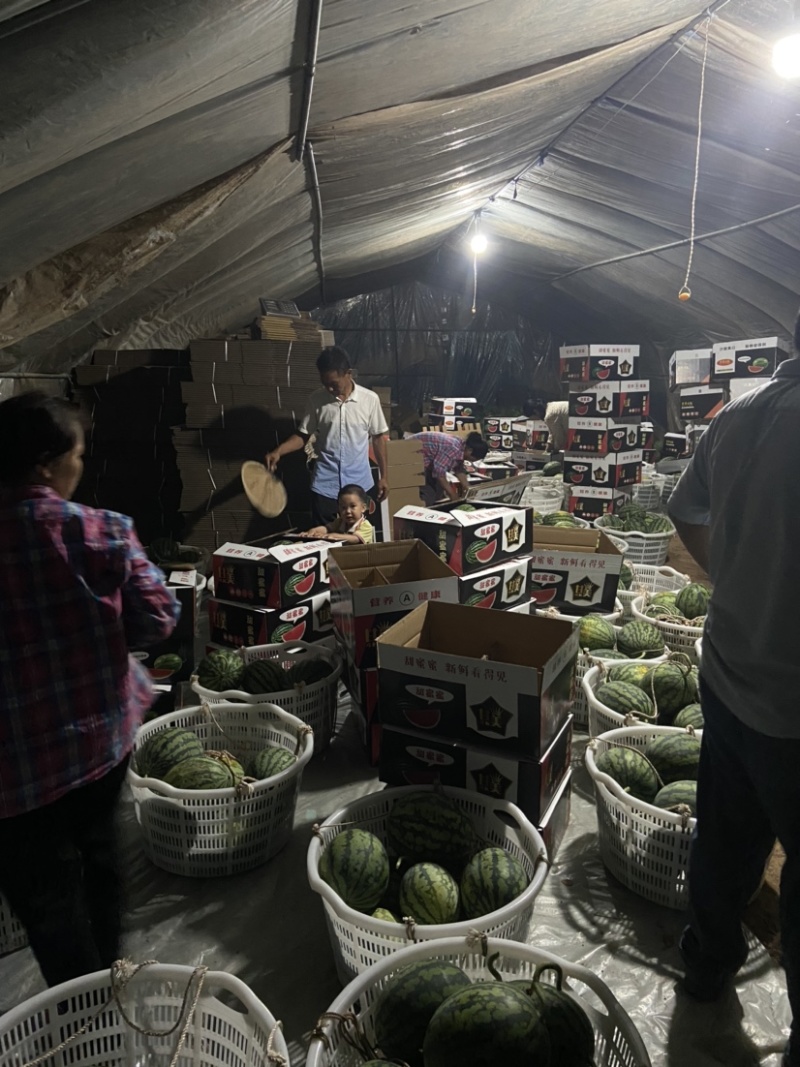 甘美4k产地直销，皮薄，红壤口感脆甜，头茬精品，需要联系