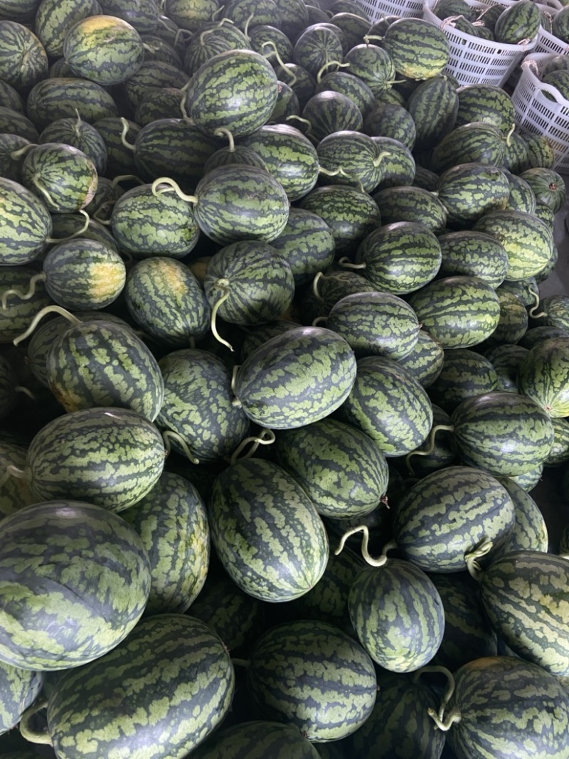 甘美4k产地直销，皮薄，红壤口感脆甜，头茬精品，需要联系