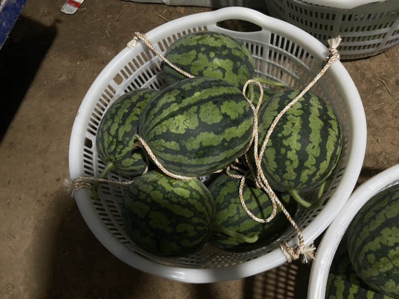 甘美4k产地直销，皮薄，红壤口感脆甜，头茬精品，需要联系