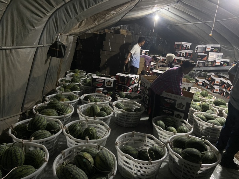 甘美4k产地直销，皮薄，红壤口感脆甜，头茬精品，需要联系