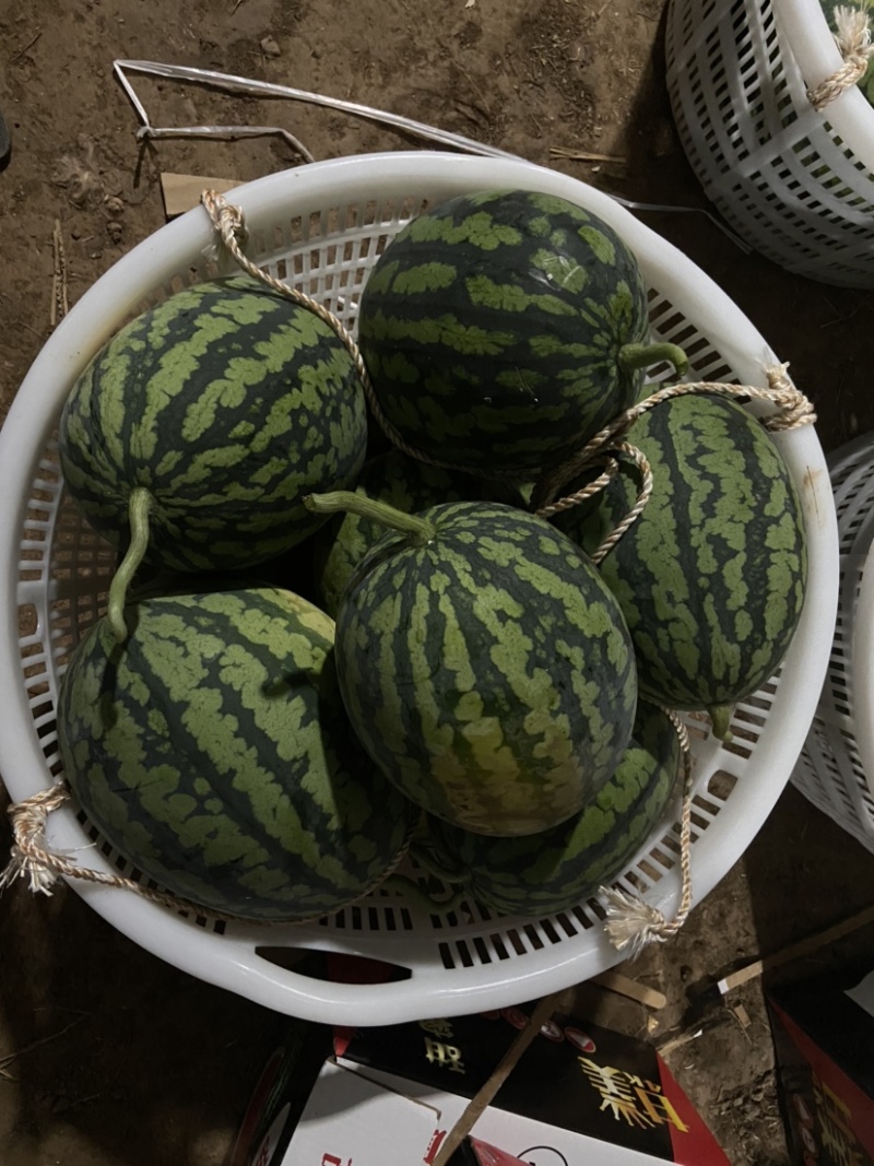 甘美4k产地直销，皮薄，红壤口感脆甜，头茬精品，需要联系
