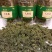 人参花长白山四年人参花100g批发
