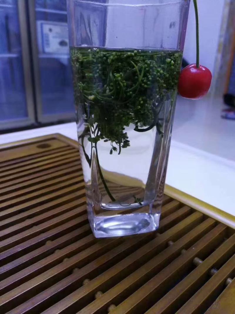 人参花长白山四年人参花100g批发