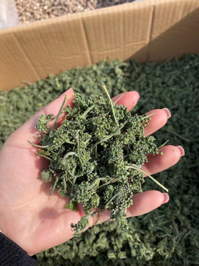 人参花长白山四年人参花100g批发