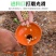 播种器玉米蔬菜花生播种机手动点播器农用手提式种子施肥器栽