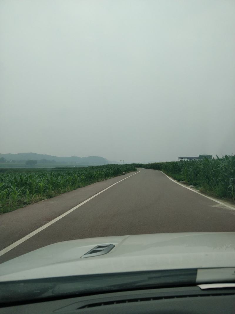 万糯2000，万糯188玉米