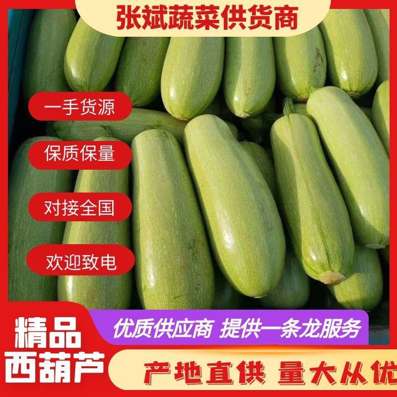 西葫芦河南西葫芦绿皮西葫芦油绿西葫欢迎选购