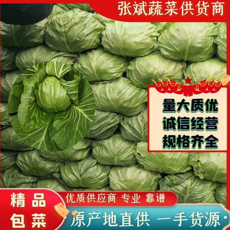 【推荐】甘蓝包菜圆包菜产地直供量大质优全国发货