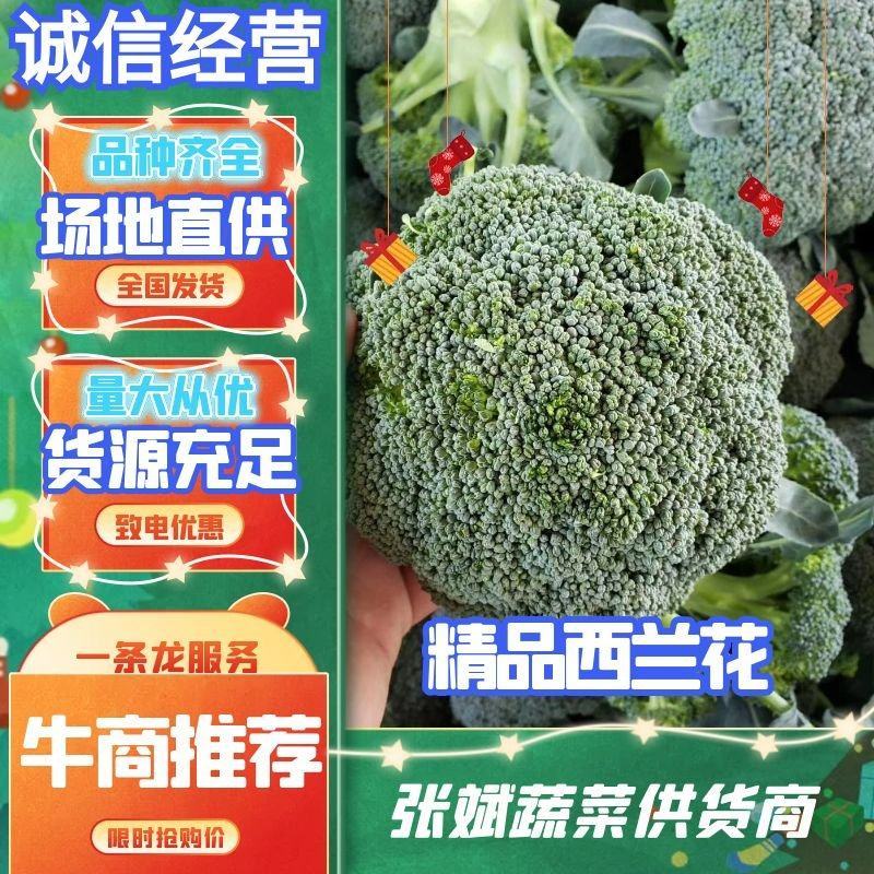 【实力商家】西兰花产地直供规格齐全量大质优