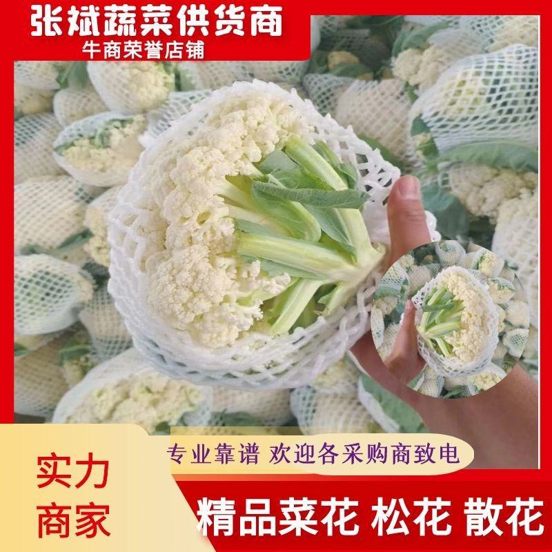 【实力商家】菜花松花有机花散花白面青梗小米粒