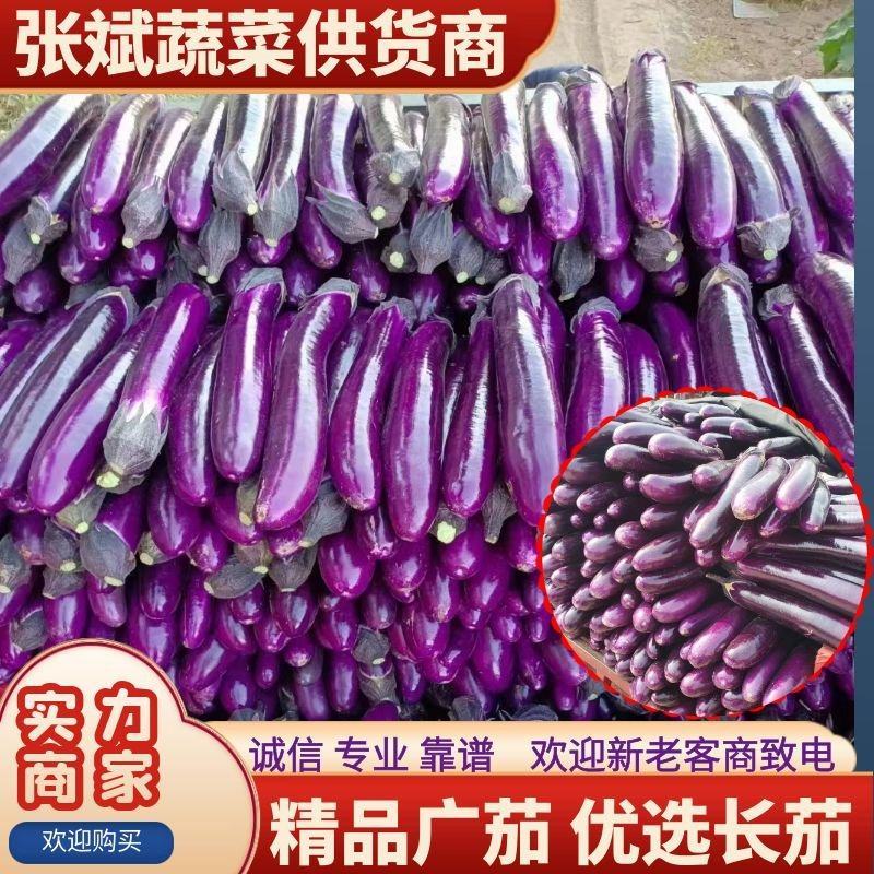【推荐】茄王紫长茄黑长茄精品广茄紫棒长茄全国发货