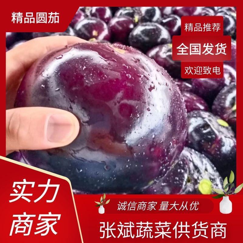 【推荐】圆茄茄子紫光圆茄产地直发商超直供
