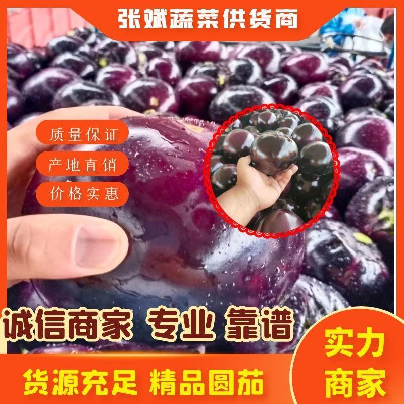 【实力商家】圆茄茄子紫光园茄产地直发全国发货