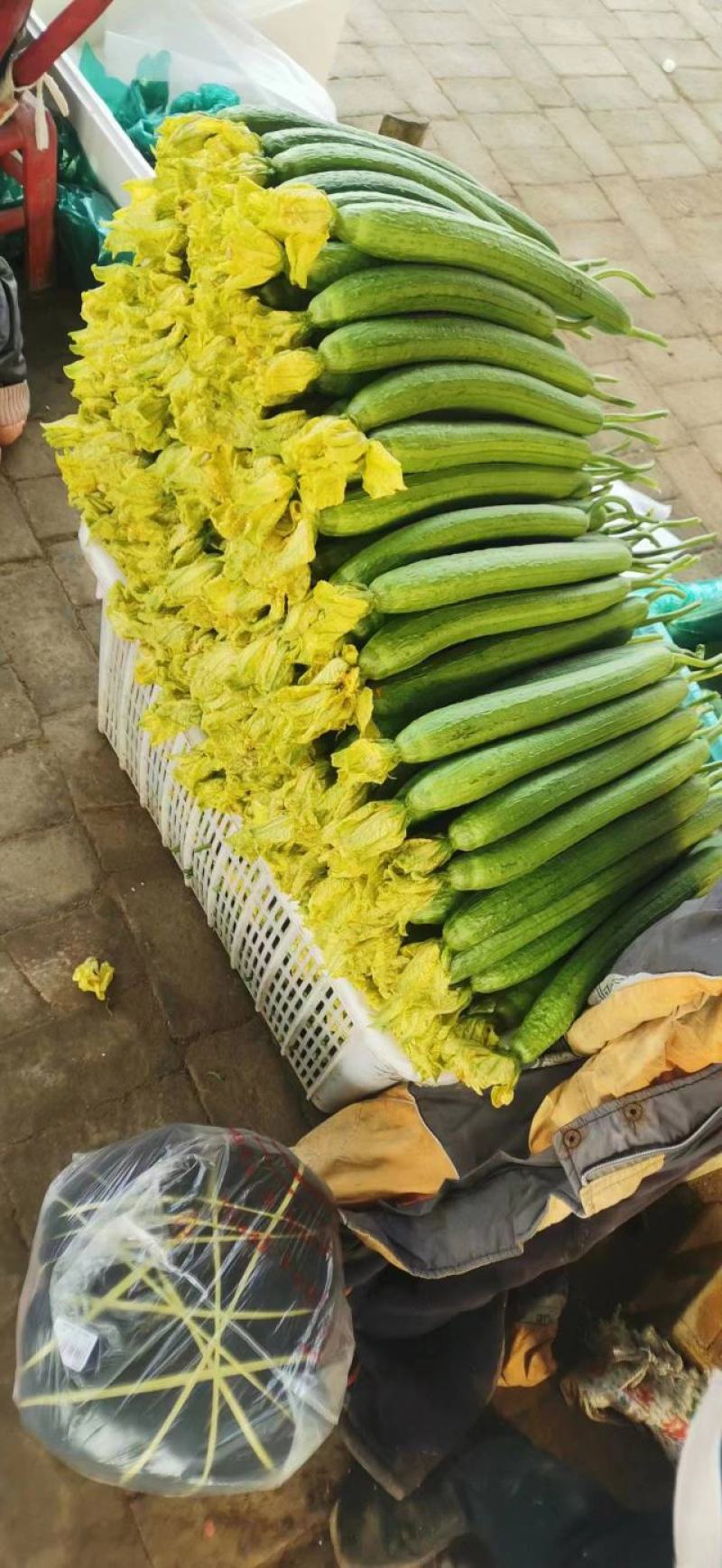 丝瓜精品丝瓜河南丝瓜条形好产地直供大量供应