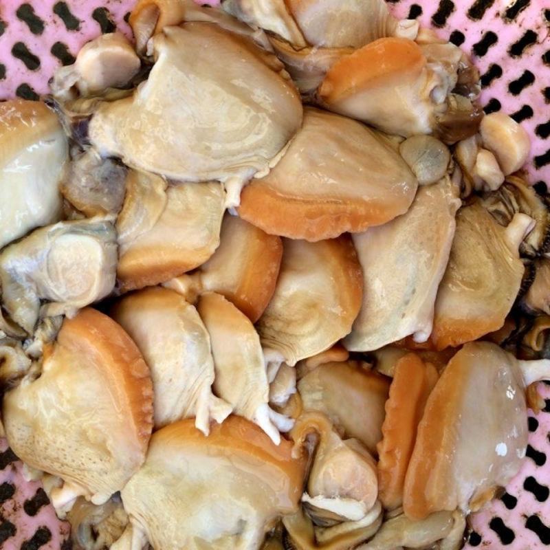 精品生鲜河蚌肉活体洗干净精肉都有，可供商超市场，欢迎合作